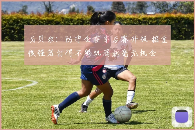 戈贝尔：防守会在季后赛升级 掘金很强若打得不够饥渴就毫无机会